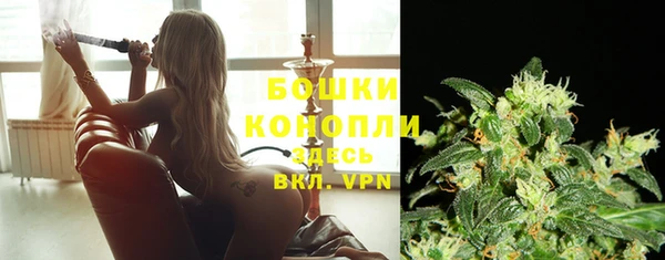 прущая мука Няндома