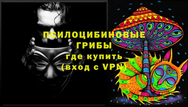 apvp Алексеевка