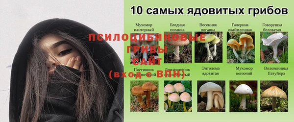 не бодяженный Абинск
