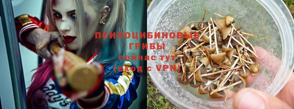 не бодяженный Абинск