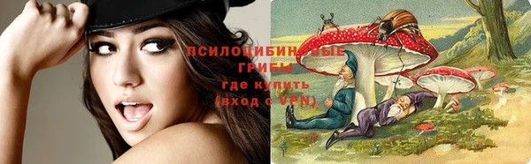 прущая мука Няндома
