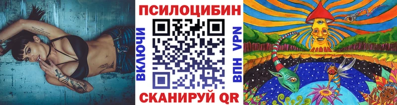 Галлюциногенные грибы мицелий  закладка  Юрга 